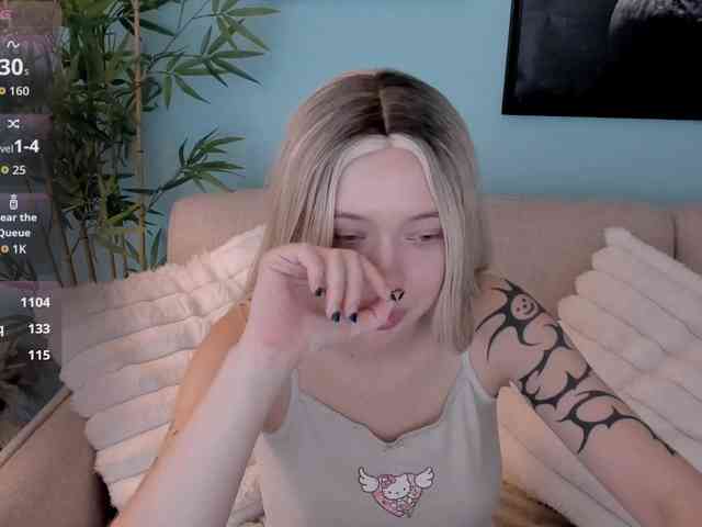 DragonFlya webcam