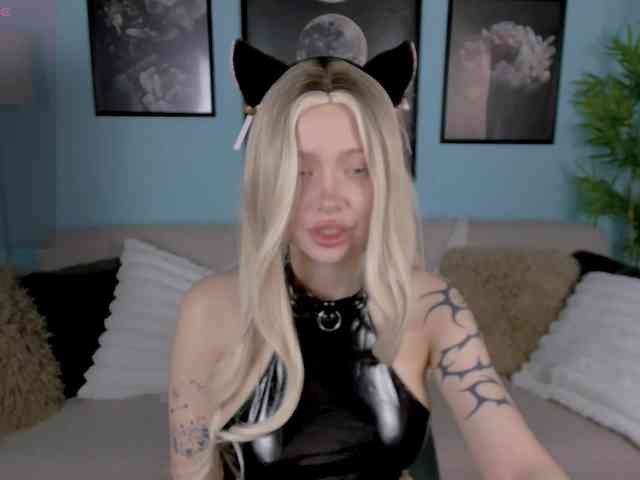 DragonFlya webcam