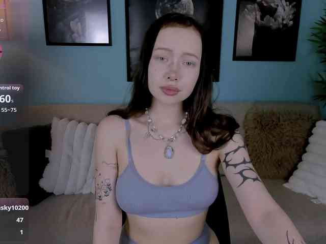 DragonFlya webcam