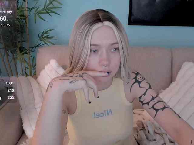 DragonFlya webcam