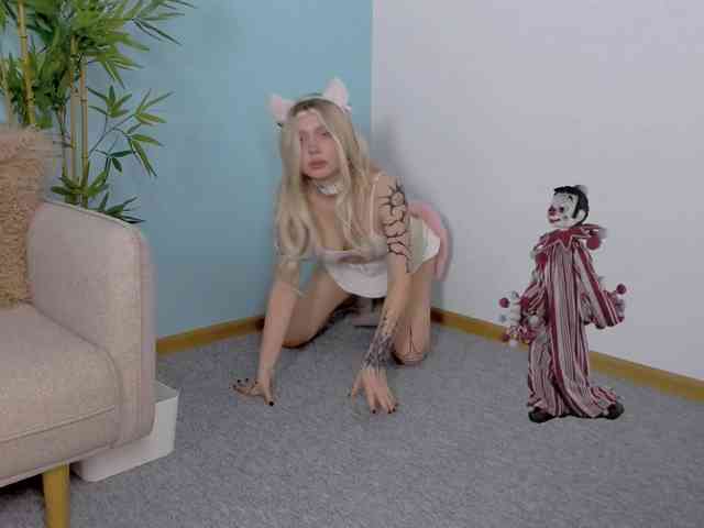DragonFlya webcam