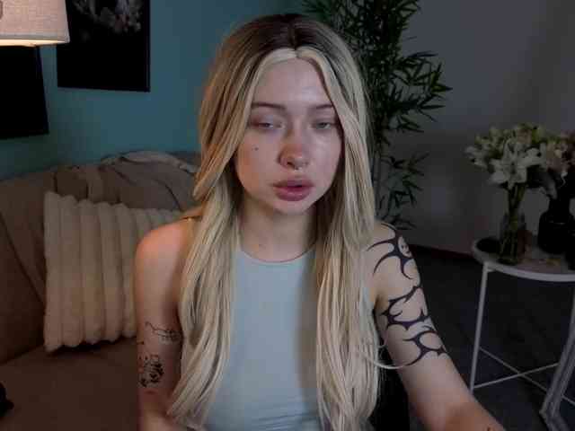 DragonFlya webcam