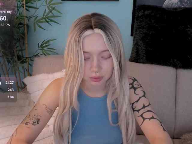 DragonFlya webcam