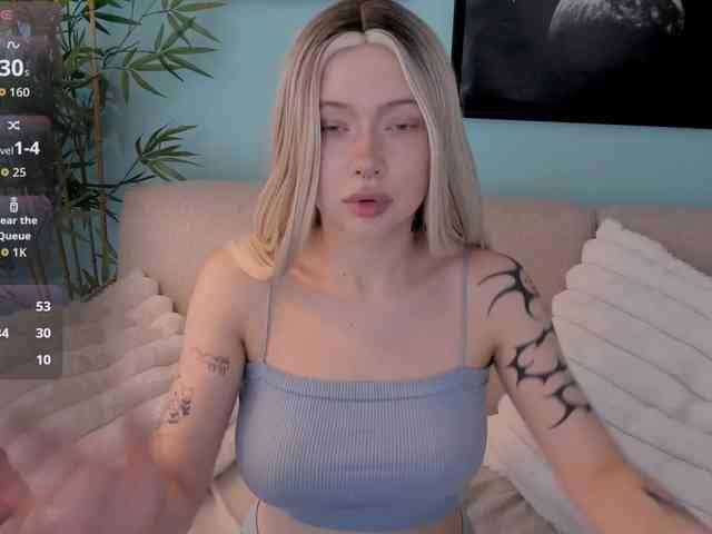 DragonFlya webcam