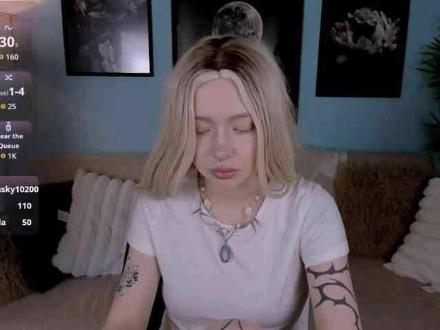 DragonFlya webcam