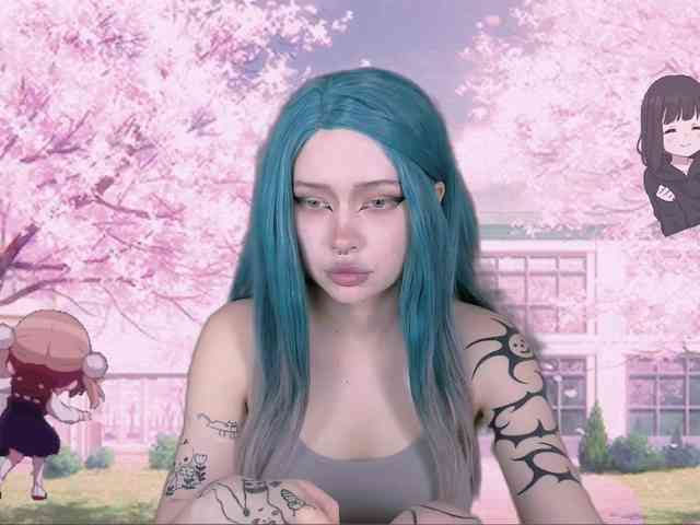DragonFlya webcam