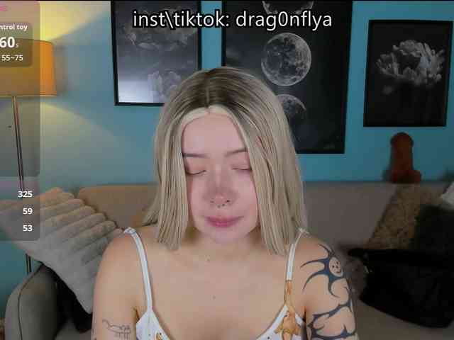 DragonFlya webcam
