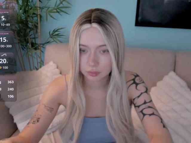 DragonFlya webcam
