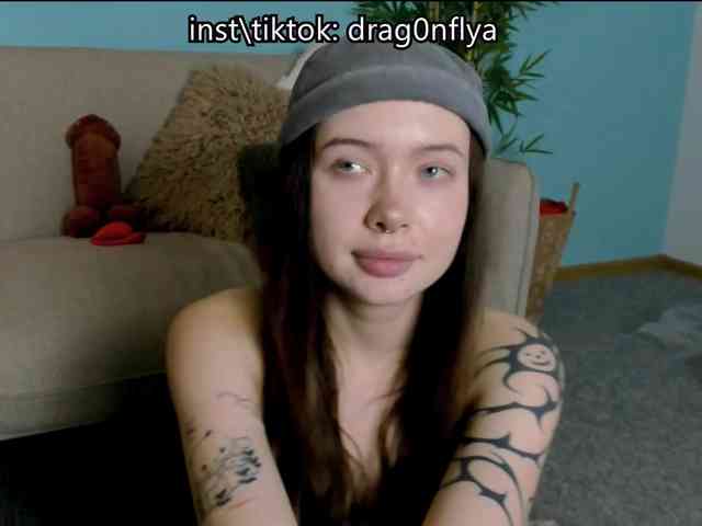 DragonFlya webcam