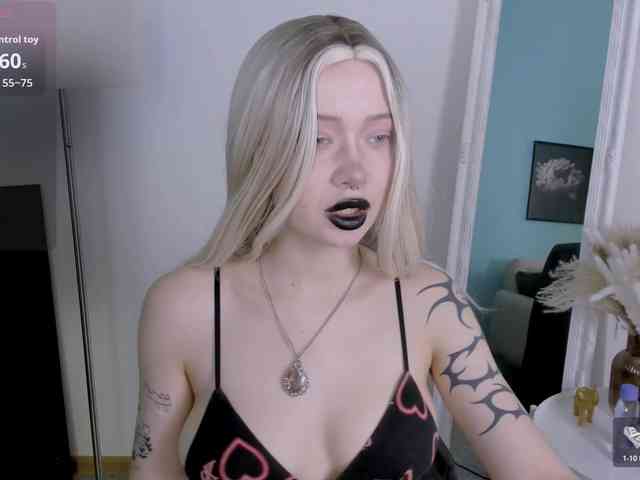 DragonFlya webcam