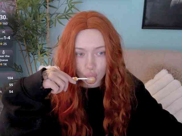 DragonFlya webcam