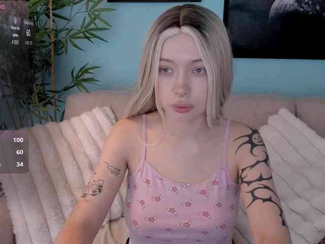 DragonFlya webcam