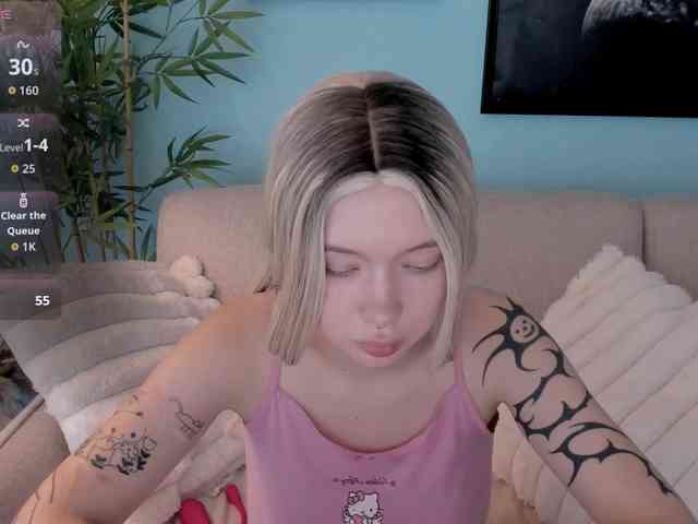 DragonFlya webcam