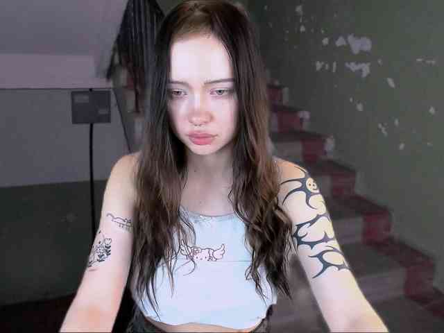 DragonFlya webcam