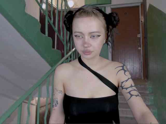 DragonFlya webcam