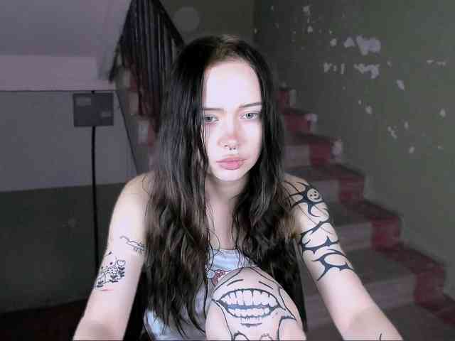 DragonFlya webcam