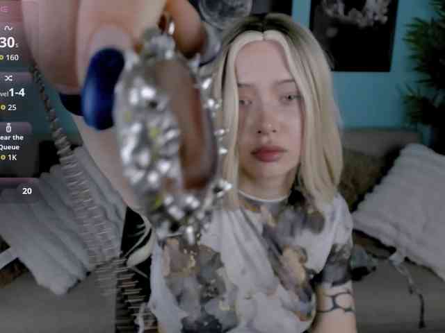 DragonFlya webcam