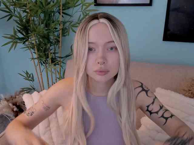 DragonFlya webcam