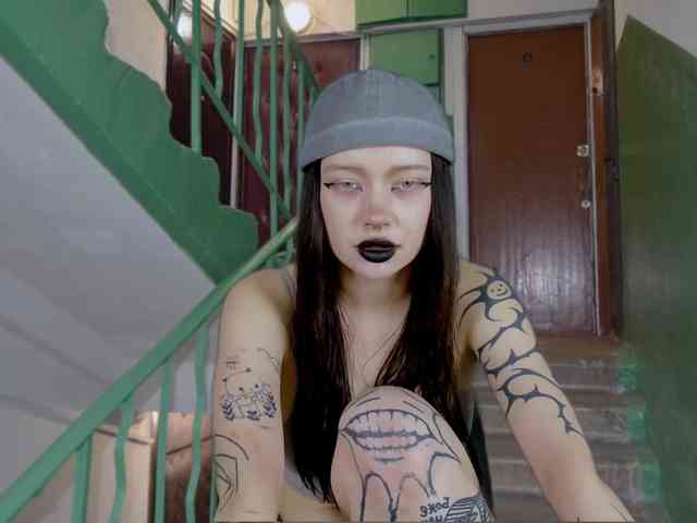 DragonFlya webcam