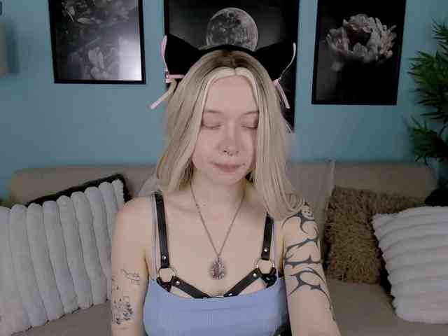 DragonFlya webcam