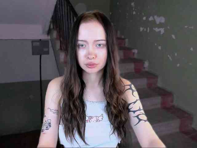 DragonFlya webcam