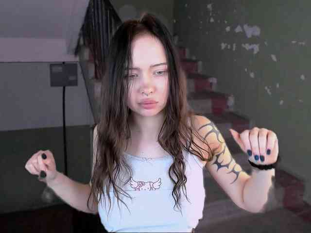 DragonFlya webcam