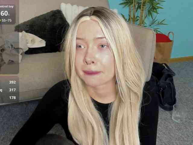 DragonFlya webcam
