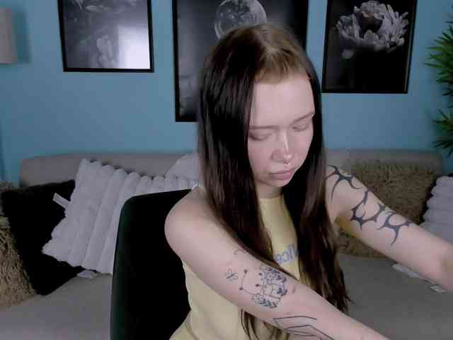 DragonFlya webcam