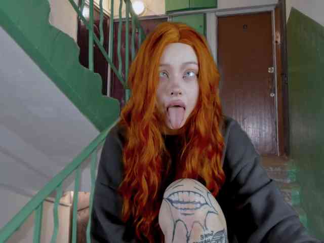 DragonFlya webcam