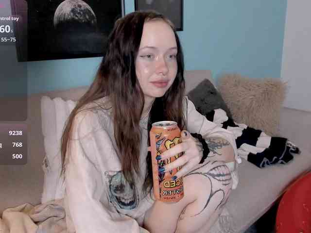 DragonFlya webcam