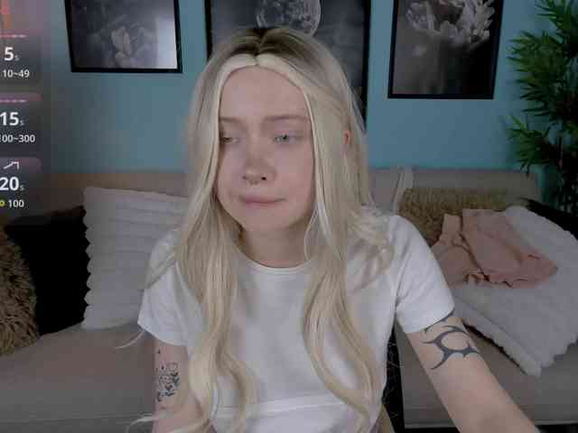 DragonFlya webcam