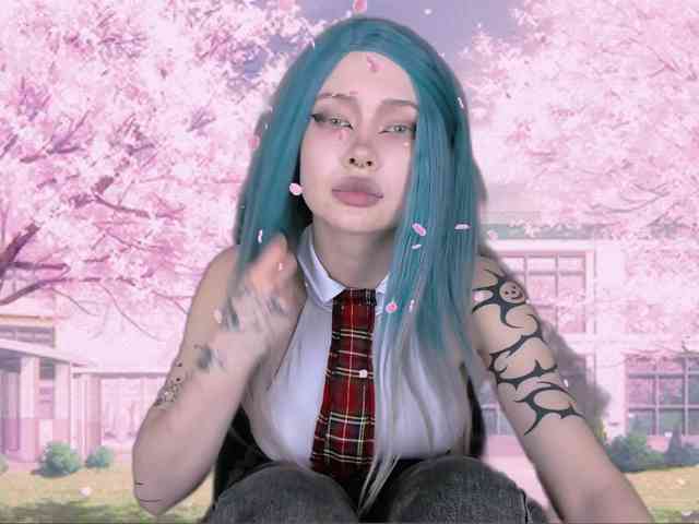 DragonFlya webcam