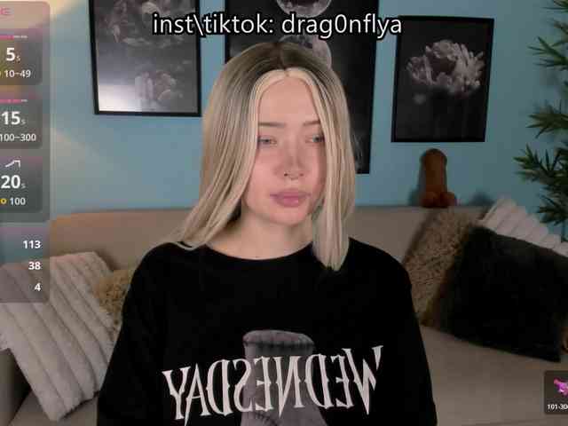 DragonFlya webcam