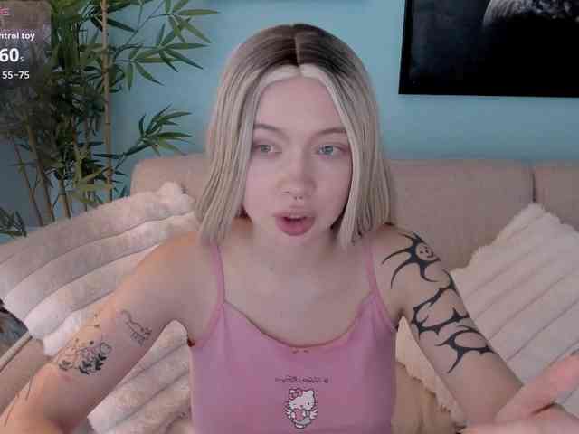 DragonFlya webcam