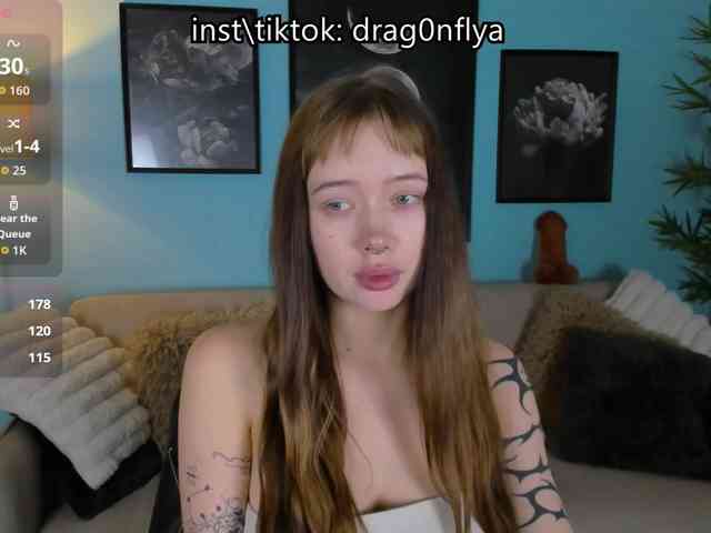 DragonFlya webcam
