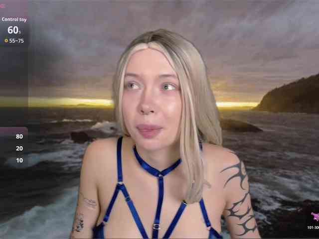 DragonFlya webcam