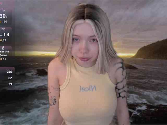 DragonFlya webcam