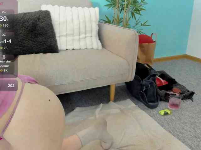 DragonFlya webcam