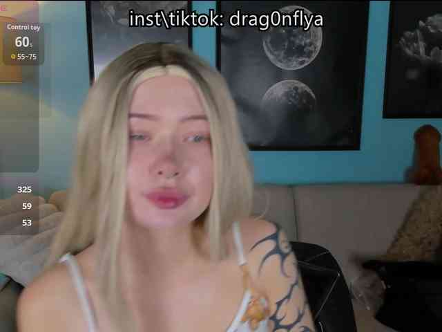 DragonFlya webcam