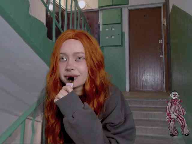 DragonFlya webcam