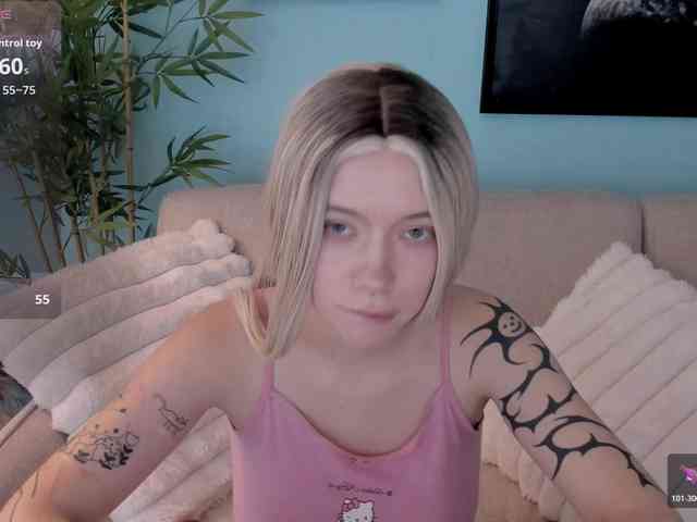 DragonFlya webcam