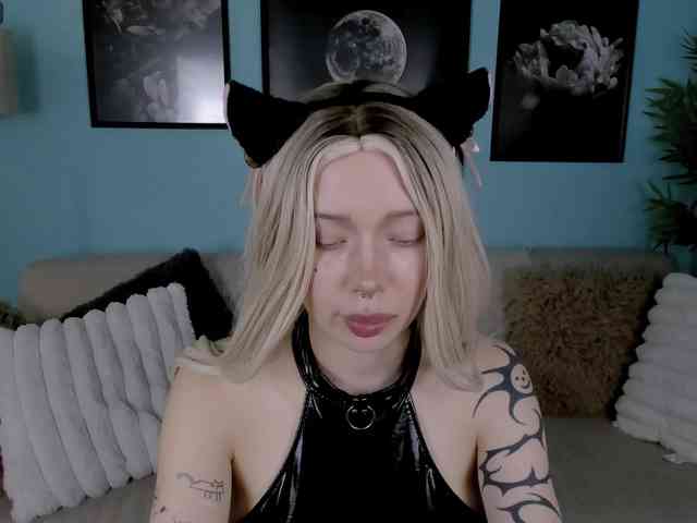 DragonFlya webcam