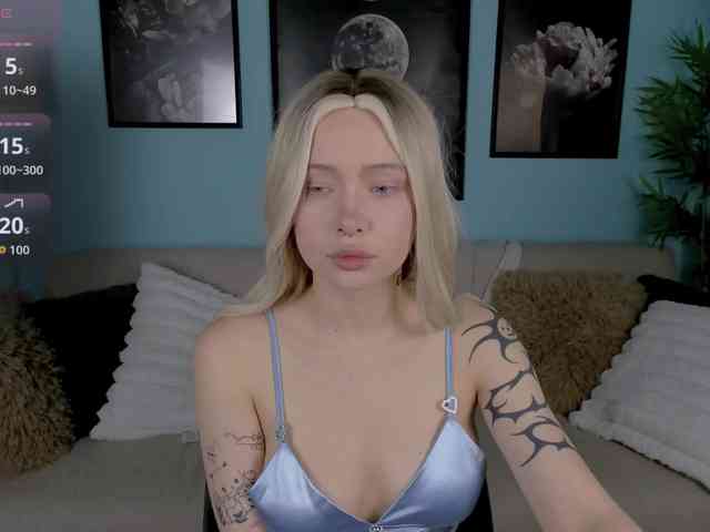 DragonFlya webcam