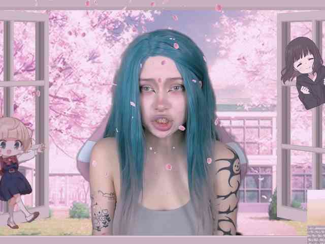 DragonFlya webcam