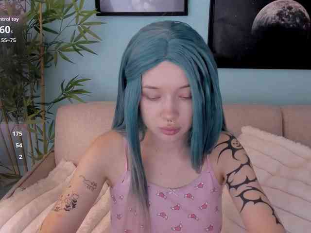 DragonFlya webcam