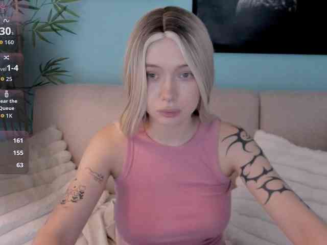 DragonFlya webcam