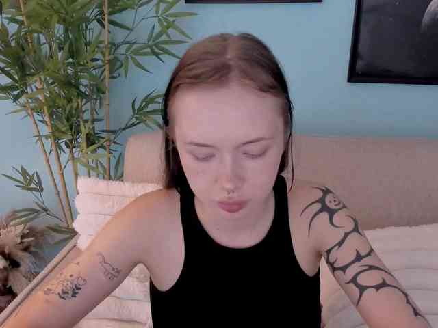 DragonFlya webcam
