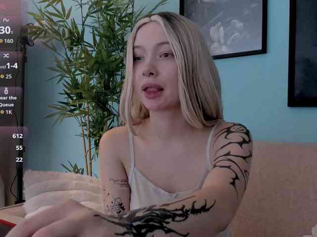 DragonFlya webcam