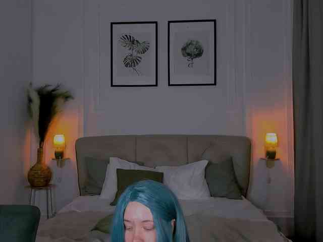 DragonFlya webcam