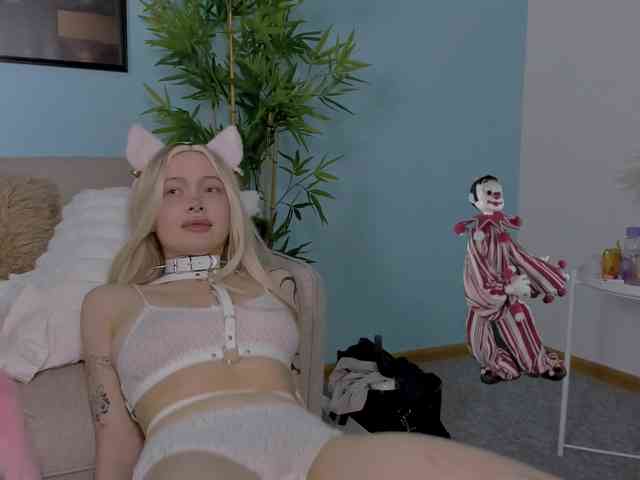 DragonFlya webcam